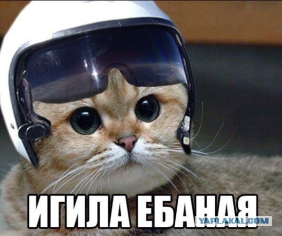 Разбомбили переправу ИГ