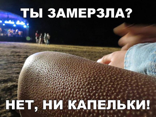 Нестандартный юмор