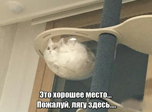 Немного картинок на вечер