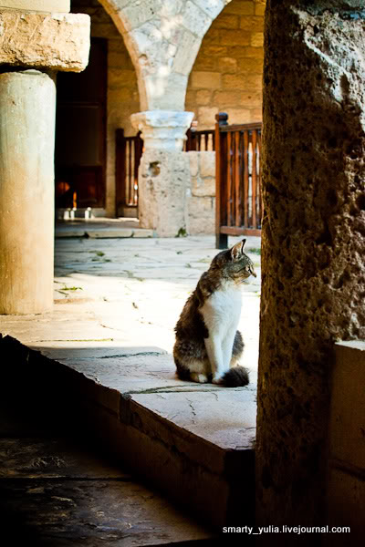 Кошачий монастырь Святого Николая