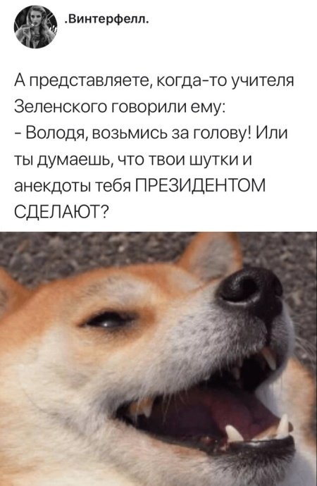 Анекдоты, истории и картинки с надписями