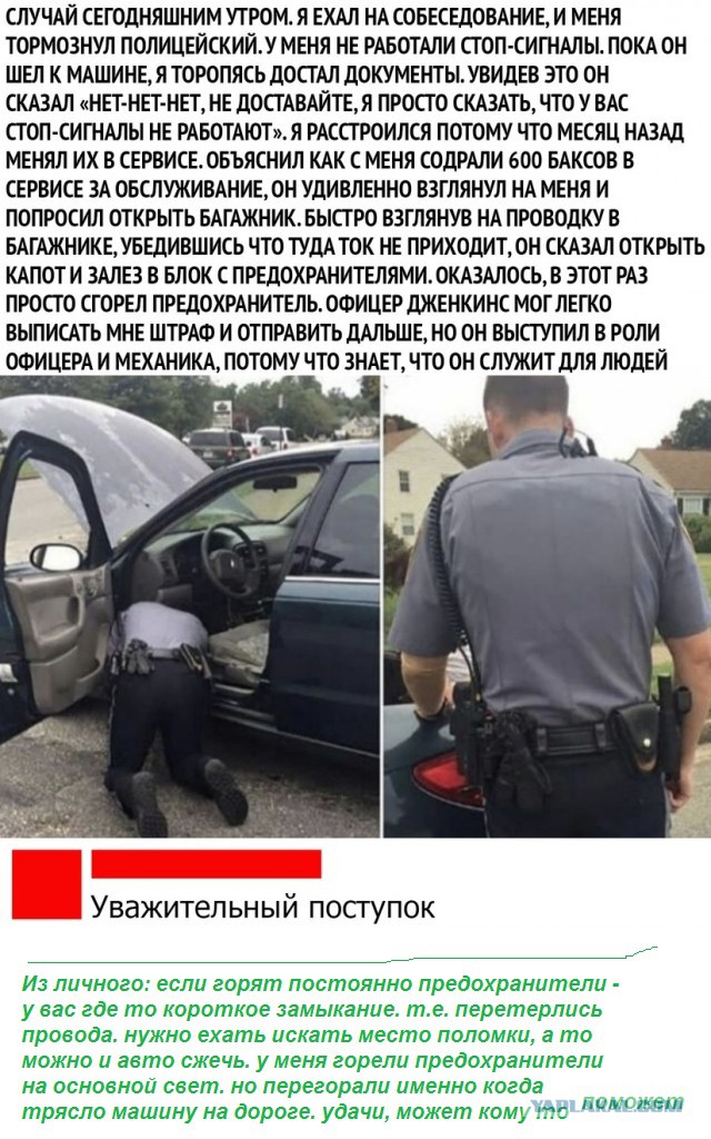 Чуток картинок. 08.10.19