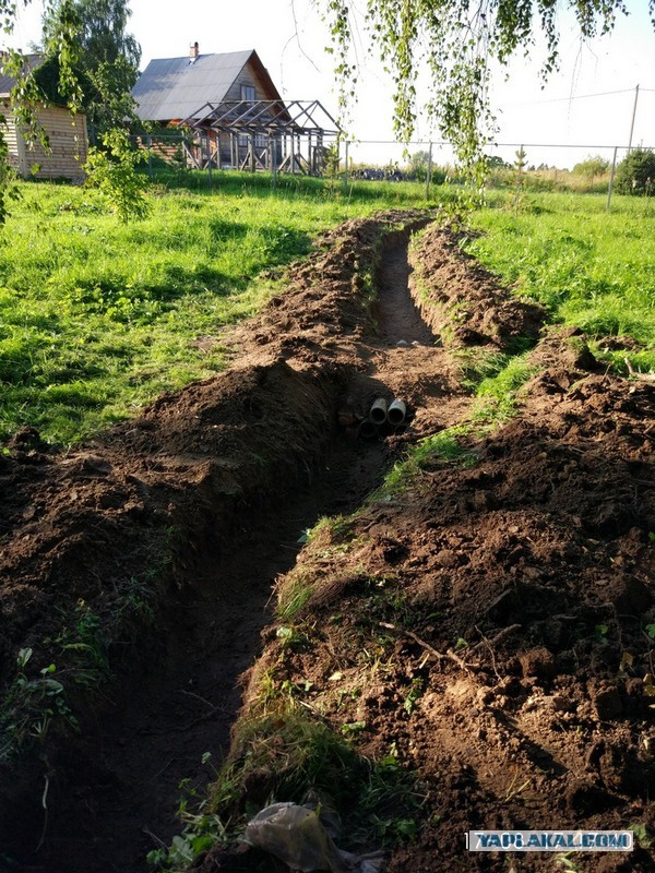 Вас когда-нибудь припахивали родственники?