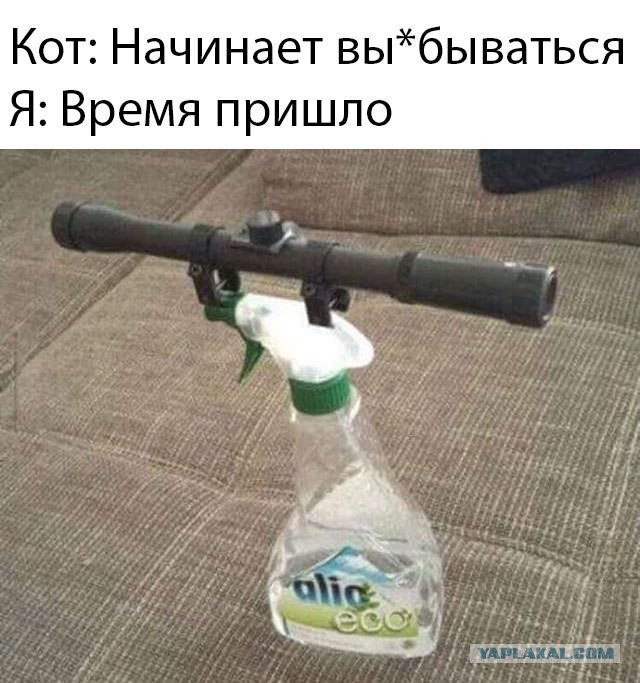 10 физиологических отличий мужчин от женщин