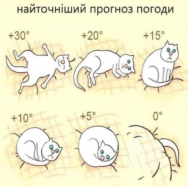 Бредзона 03.01.20