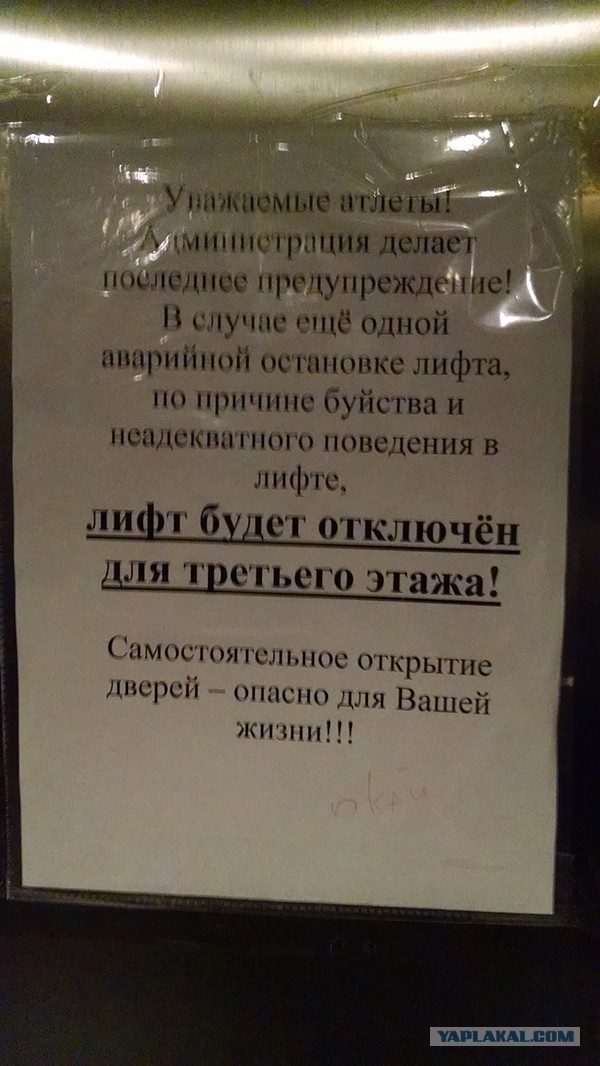 Перлы - 04.05.20
