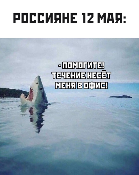Немного картинок для настроения 11.05.20