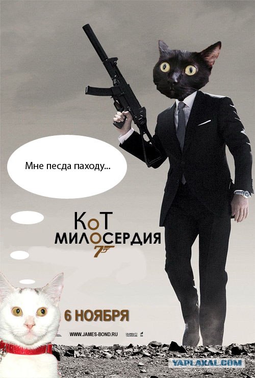 Квант попадания