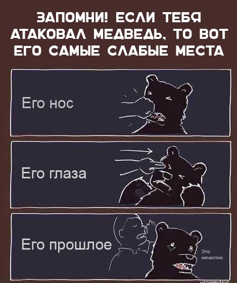 Медвежий уголок