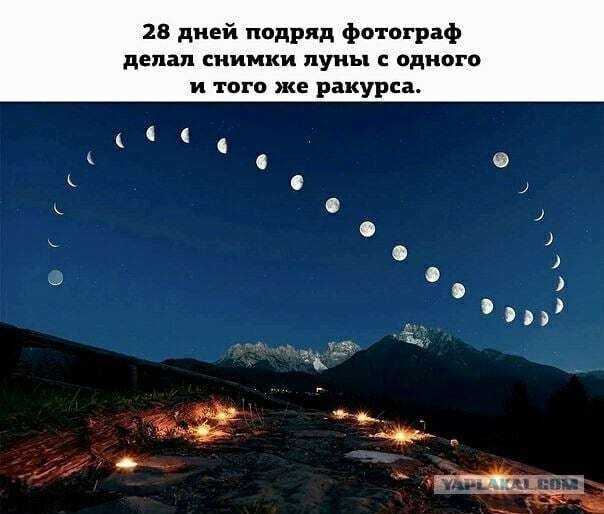 Бредзона 10.11.2020