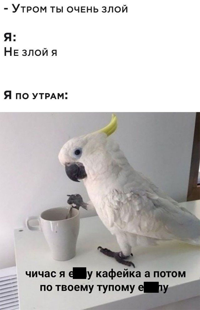 Новые и старые реалии в России. В картинках