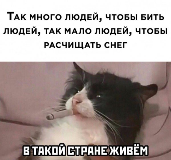 Картинки и мемы для настроения 015