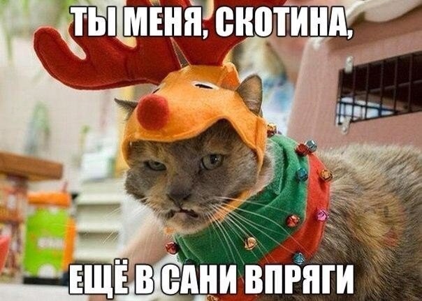 Так себе картинки 21.03.21