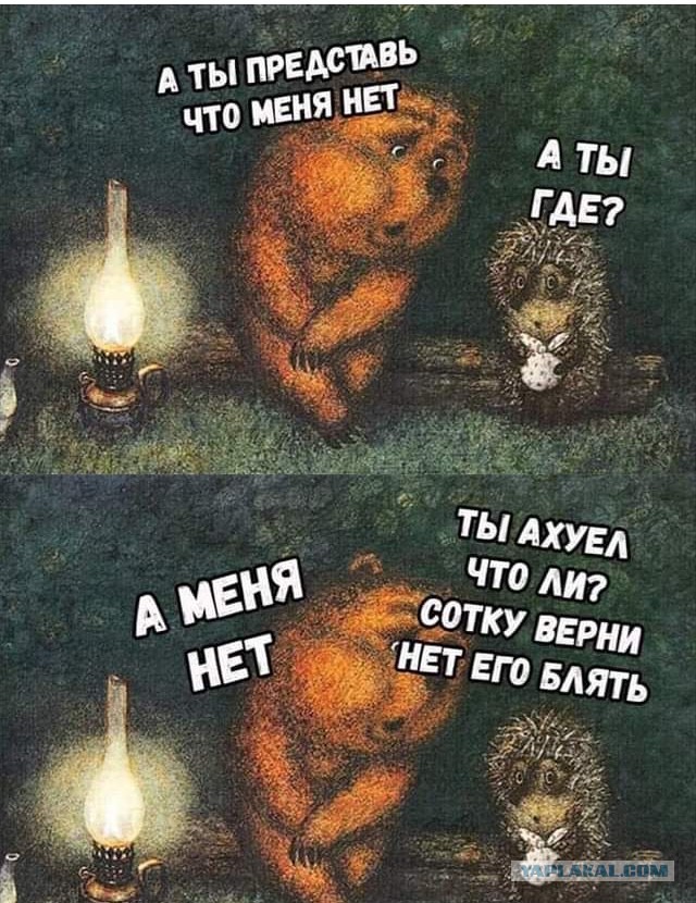 Супруги 2 суток провели на дереве, спасаясь от медведя на Камчатке