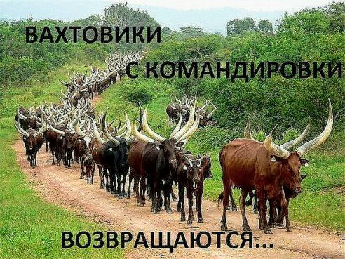 Всякие разные картинки 019