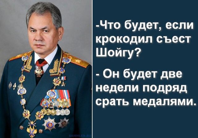 Шойгу. Будущий президент?