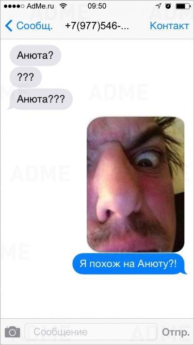 У меня есть свой чебурашка! (история знакомства)