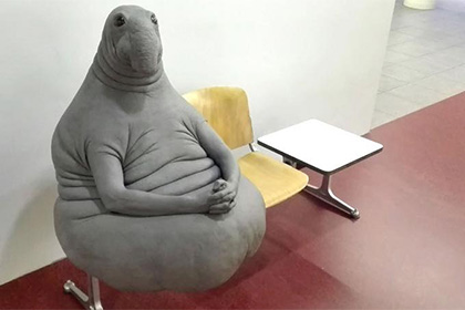 Как загнивают в Канаде на минимальной зарплате