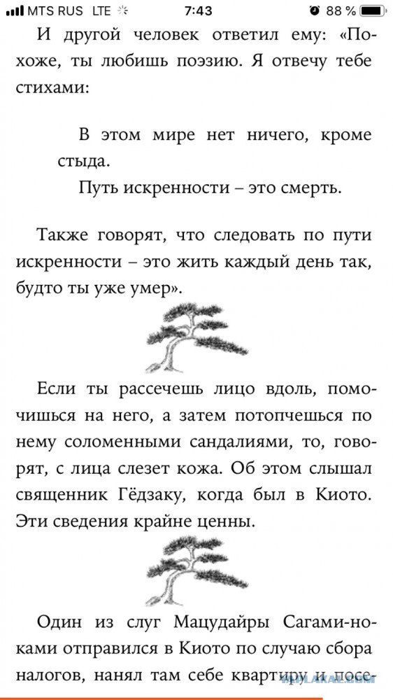 Так себе картинки 01.10.21