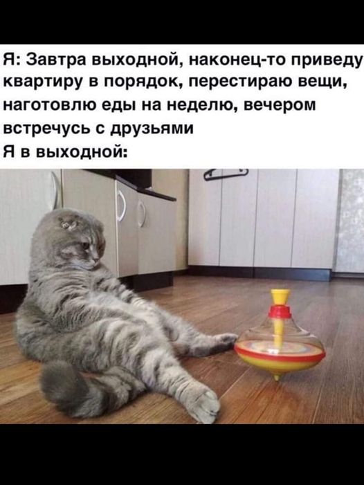 Картинки на пятницу 26.11.2021