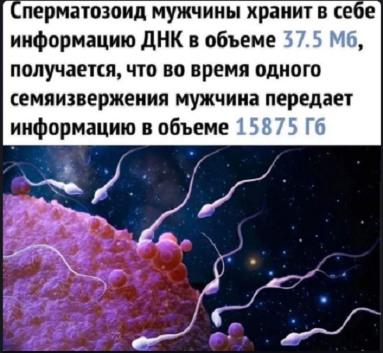 Картинки с надписями и всякие жизненные фразы