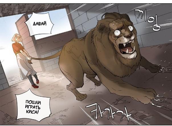 Здравствуйте