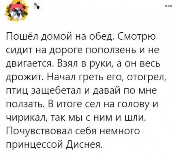 Картинки и мемы для настроения - 23