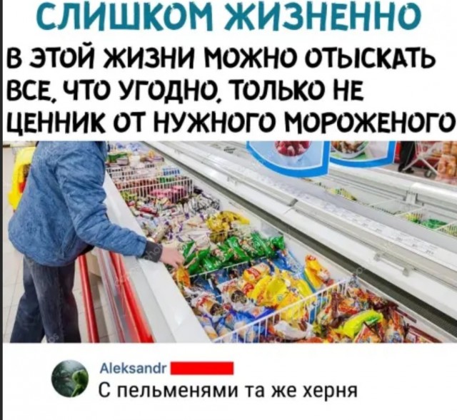 Весёлый полтишок 08.08.22