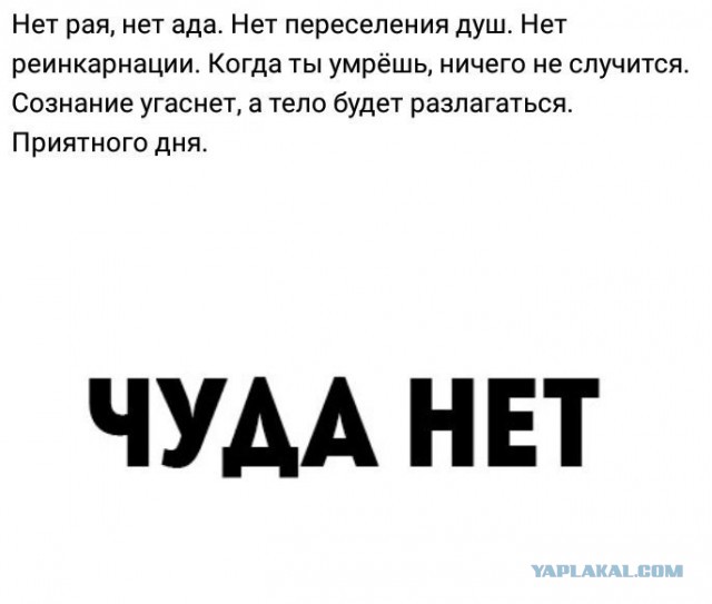 Весёлый полтишок 18.08.22
