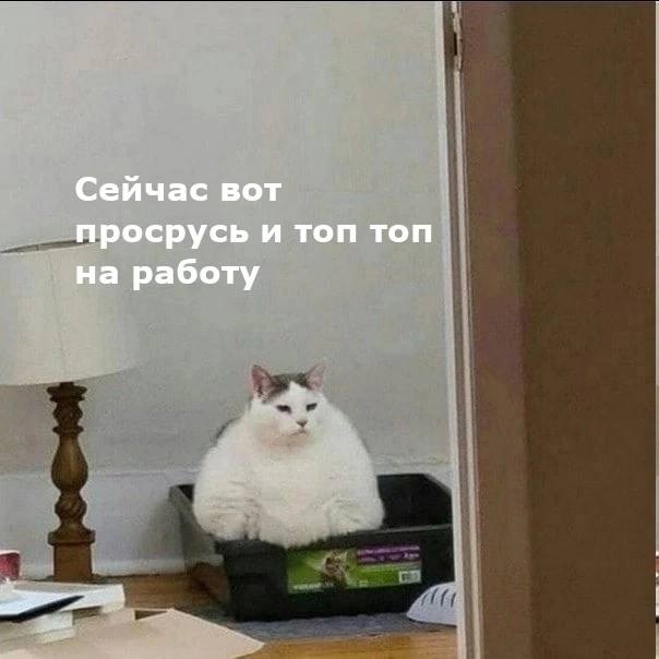 Немного мемчиков. Для взрослых 18+. Часть 11