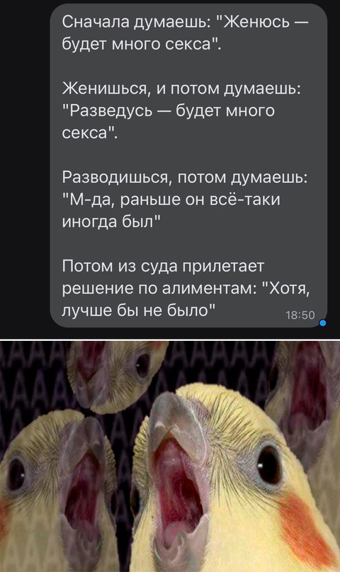 Весёлый полтишок 21.02.23