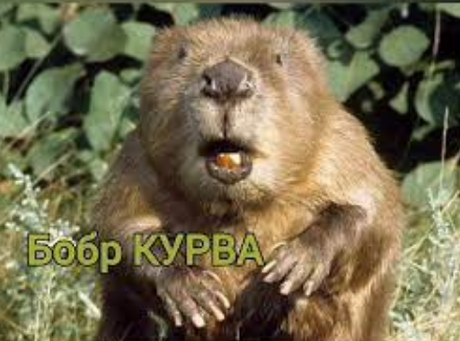 Аццкая кухня 4 (Кулинарный адъ)