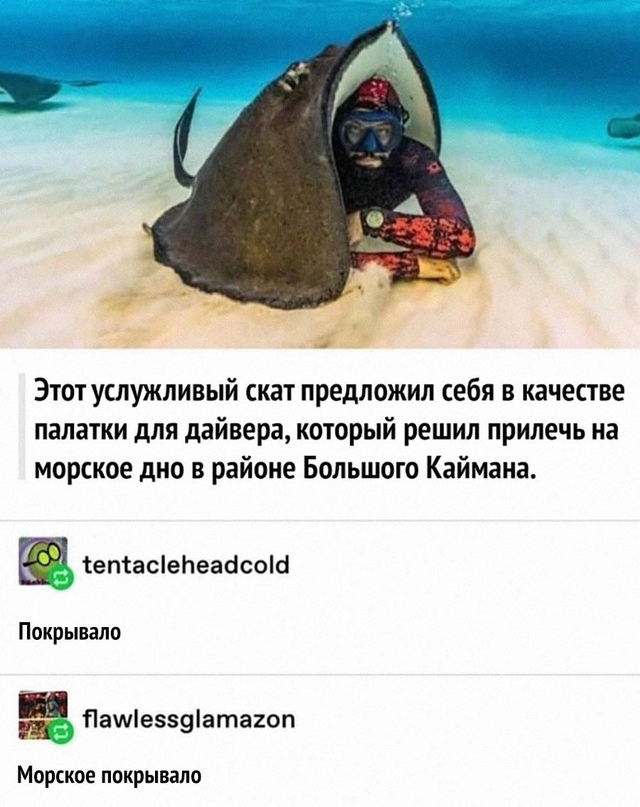 Картинки и мемы для настроения - 181