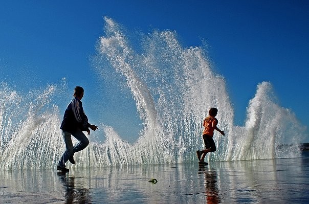 Красивые фото ЯПа