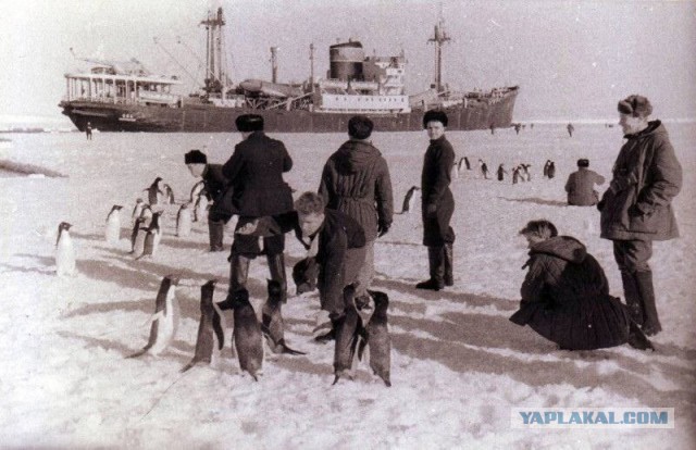 Фотографии из прошлого нашей страны - 42