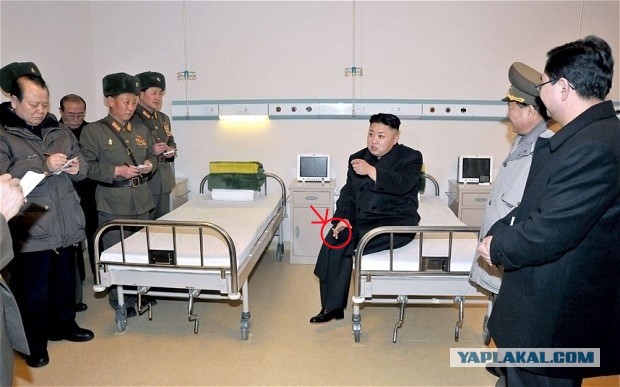 Родиться в Северной Корее