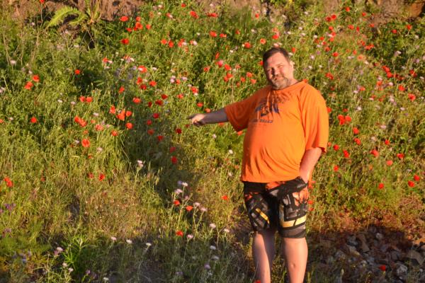 Хочу дачу на канарах!