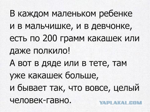 Баяны со старого телефона. Часть вторая