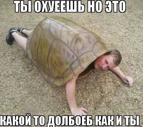 Всего понемногу. От 17.06.2024