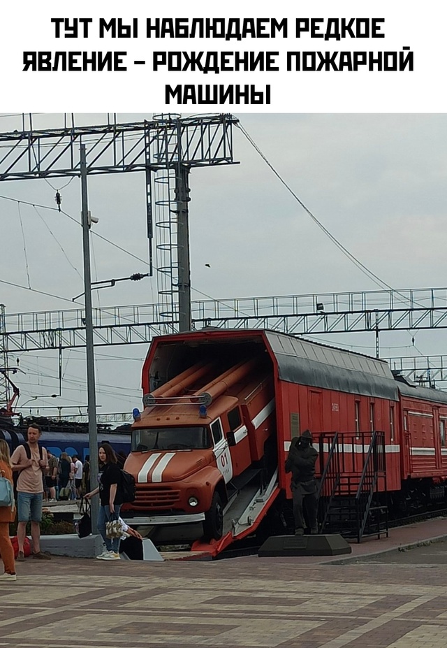 Весёлый полтишок 29.08.24