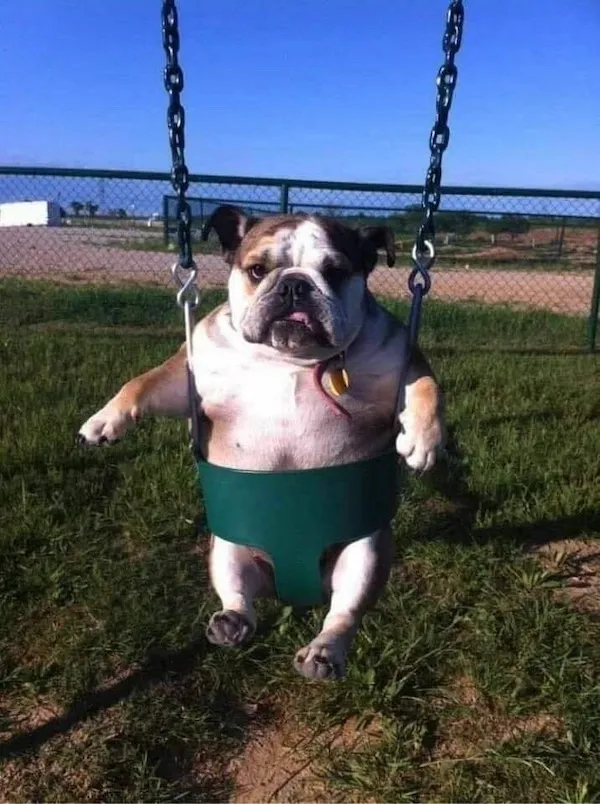 ФотоВинегрет