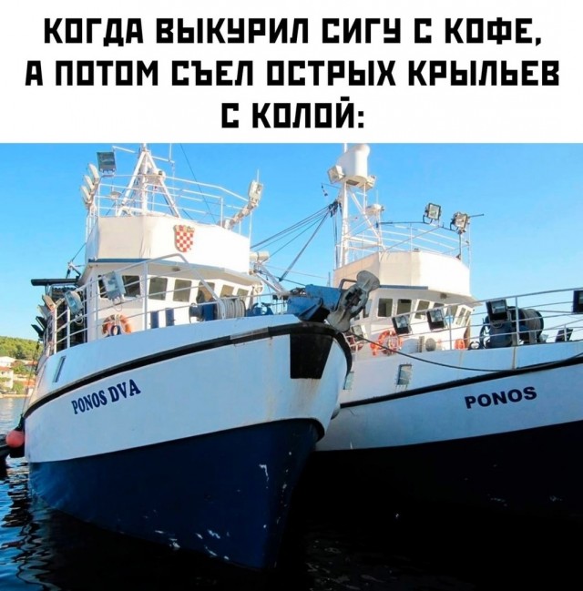 Так себе картинки 25.11.24