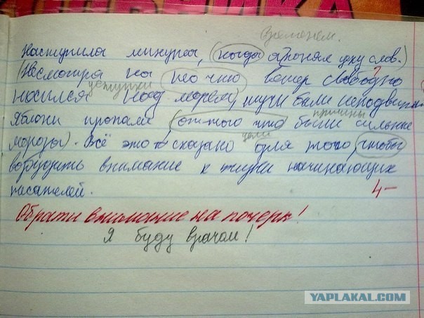 Забавные школьные дневники