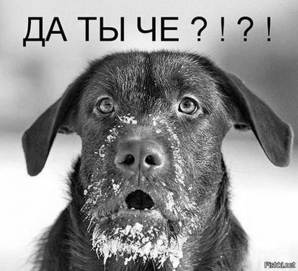 Что хранят чёрные саркофаги, найденные в Антарктиде