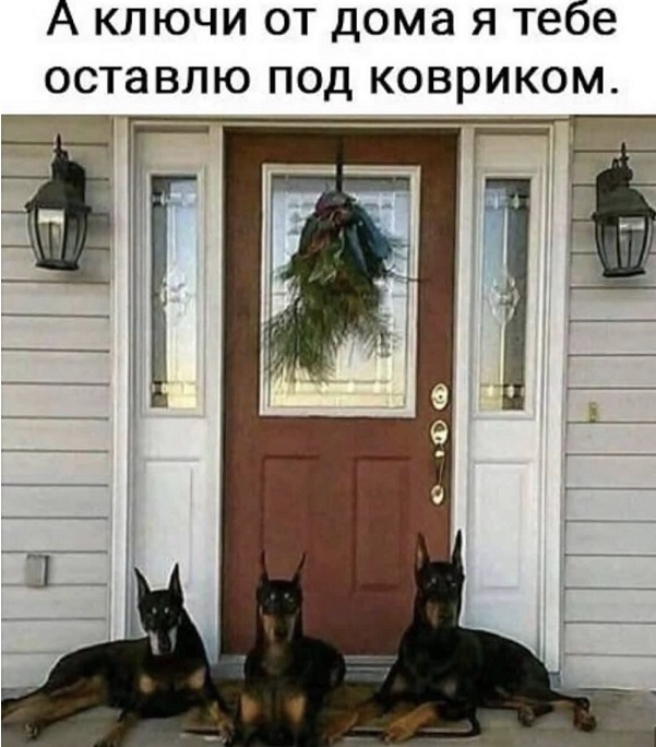 Завалялось тут случайно немного забавных картинок