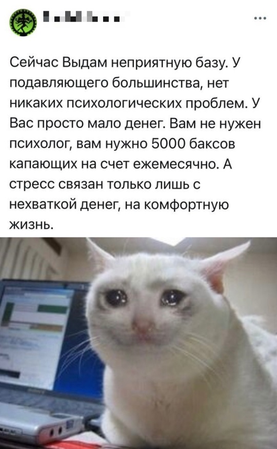 Весёлый полтишок 08.07.25