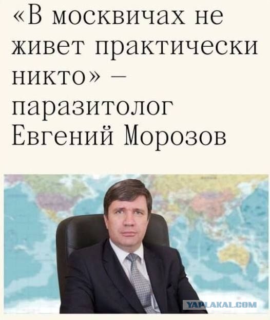 Сильный ливень, гром и молния обрушились на Подмосковье