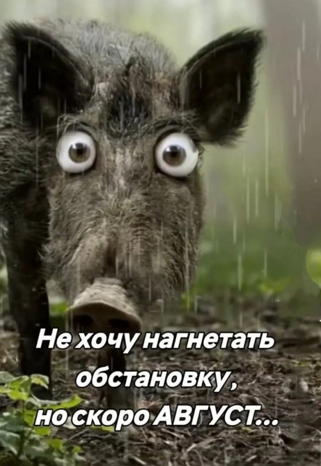 Уже макушка лета