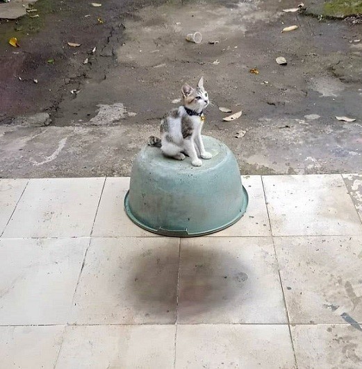Картинки всякие