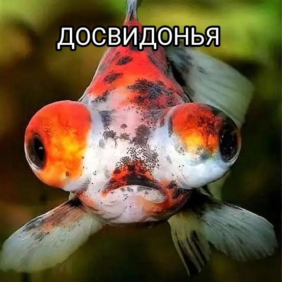Досвидонья